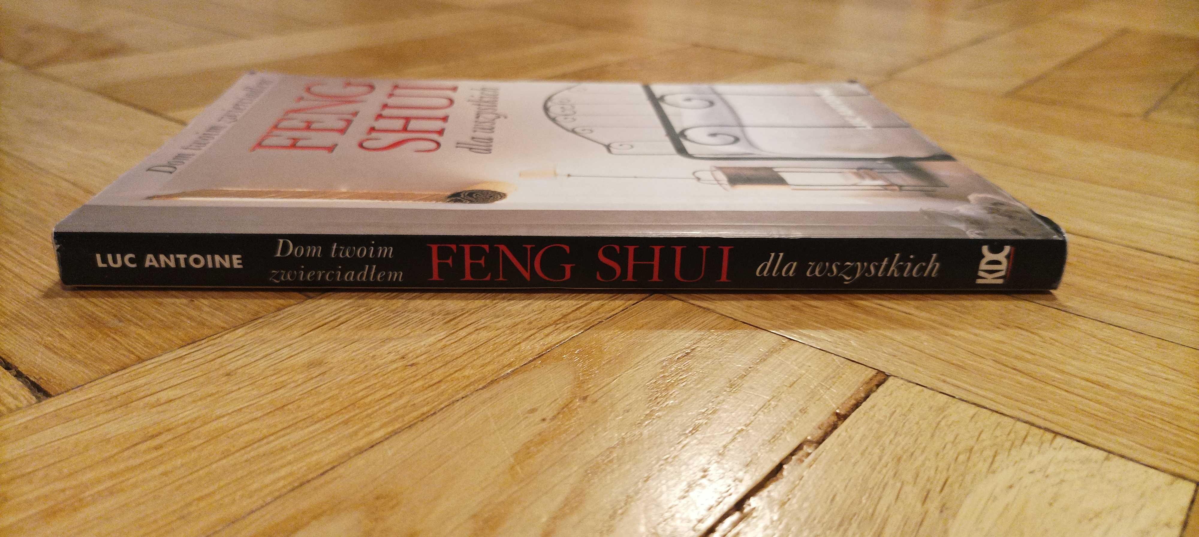 Feng shui dla wszystkich Luc Antoine