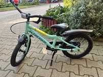 Rower firmy kross