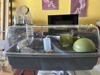 Gaiola Para Hamster