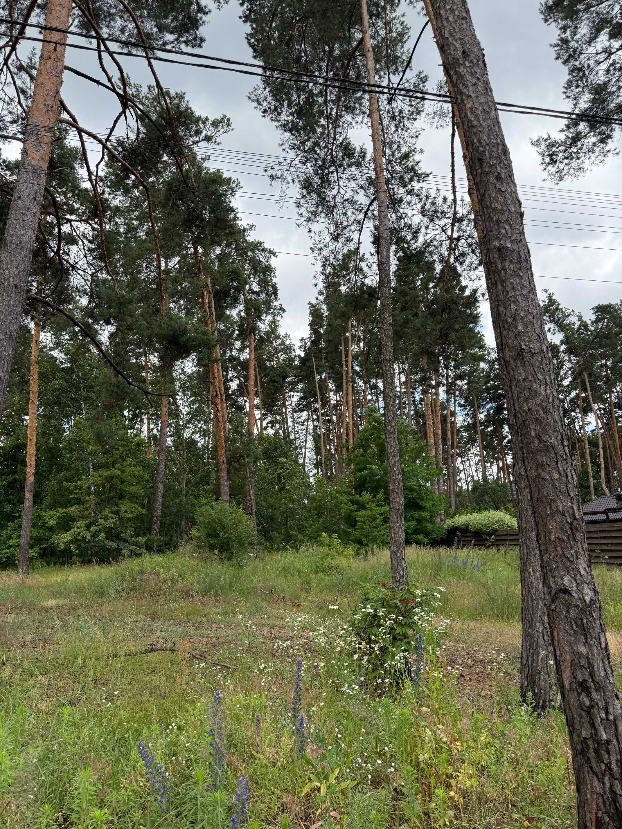 Продам ділянку Лісова Буча 10 соток під будівництво