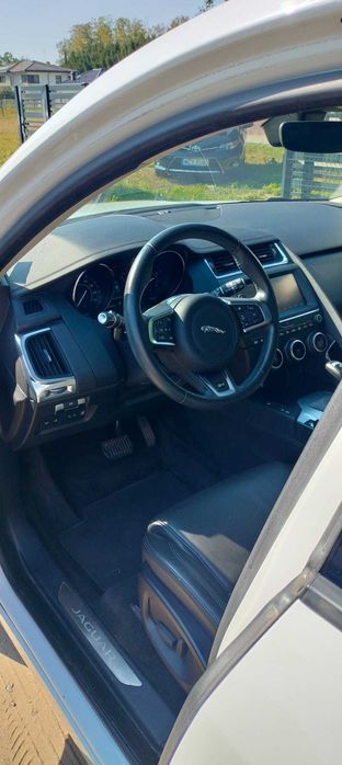 piękny niezawodny Jaguarek