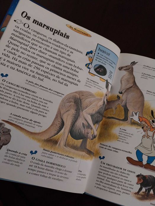 O Maravilhoso Mundo do Conhecimento, Os Mamíferos, Disney