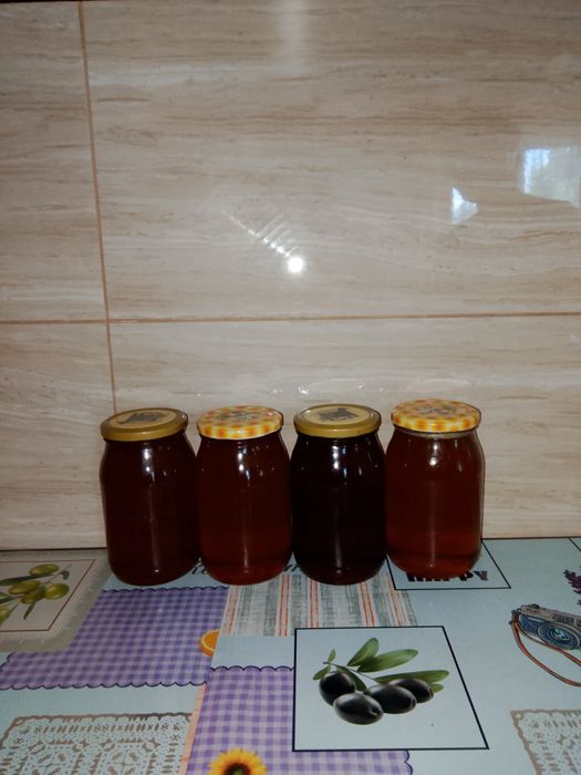 Sprzedam miód wielokwiatowy