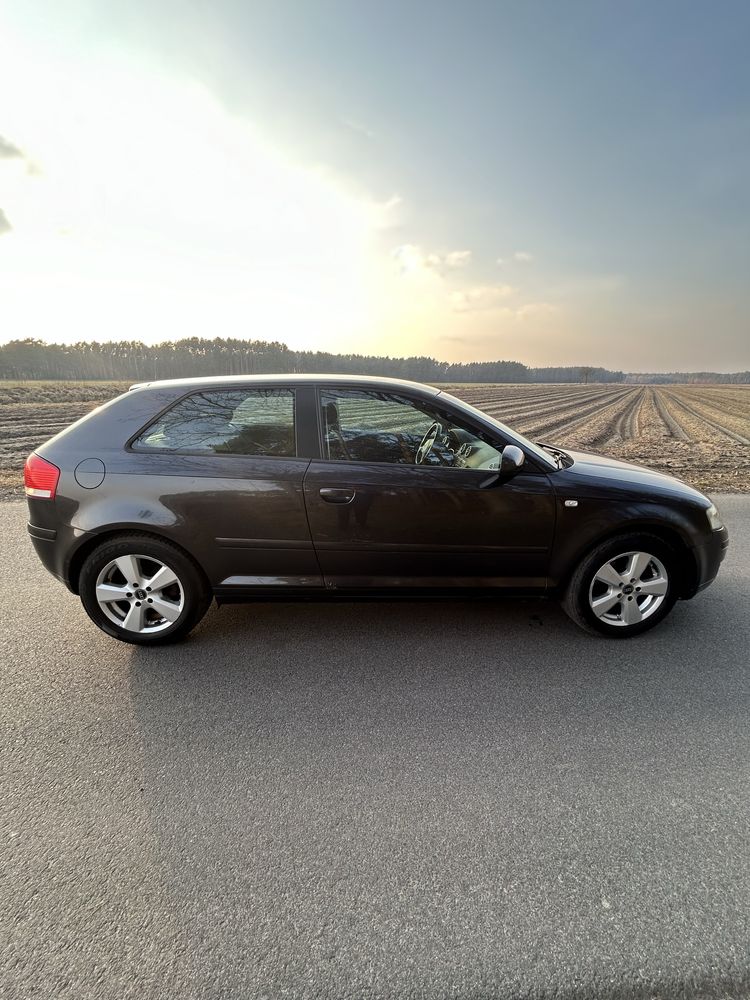 Audi a3 8P 1.9TDI
