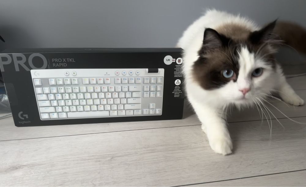 Новая магнитная клавиатура Logitech G PRO X TKL RAPID