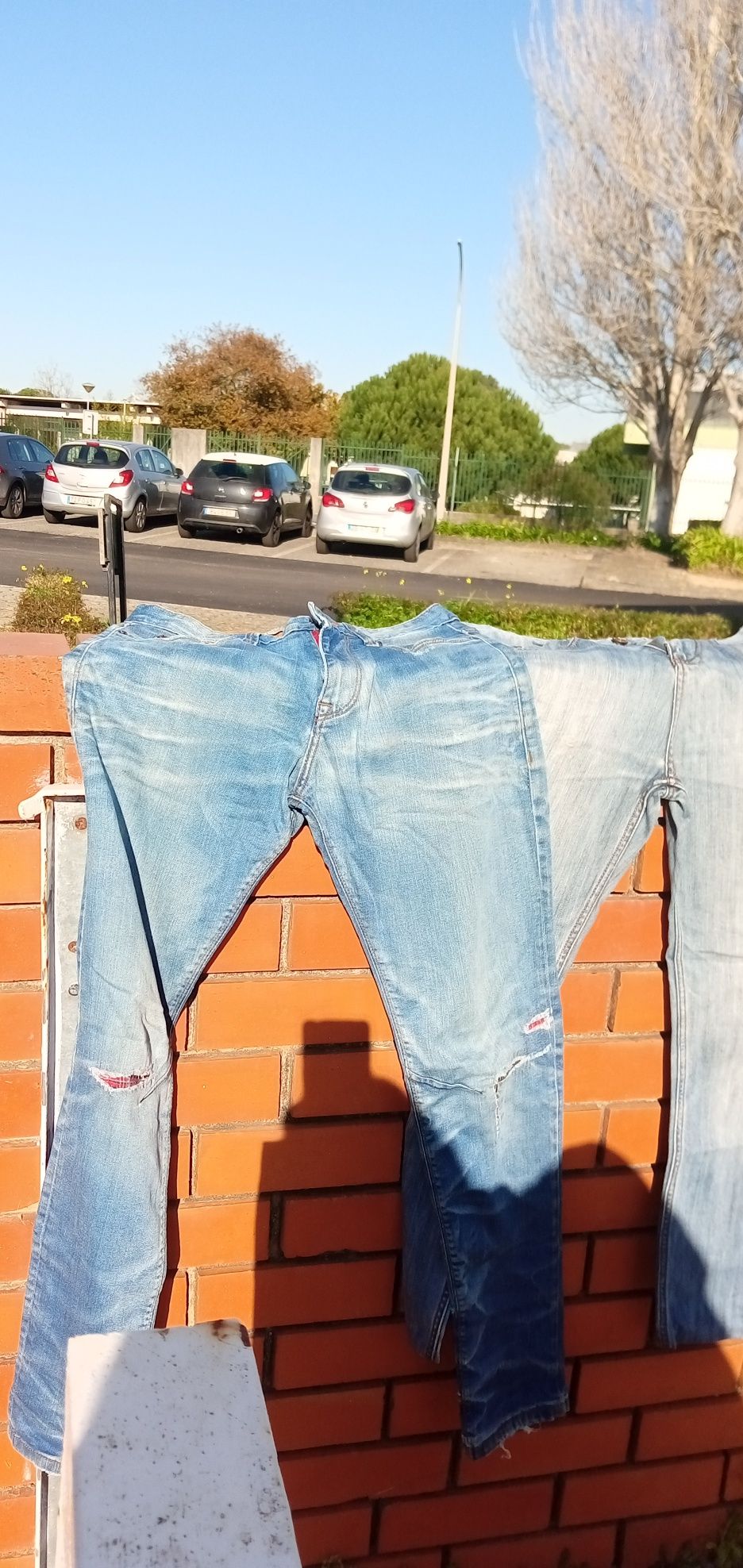 Calças ganga lote 5
