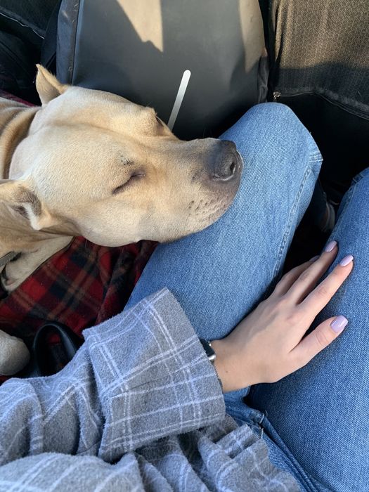 Стафф ищет девочку)))