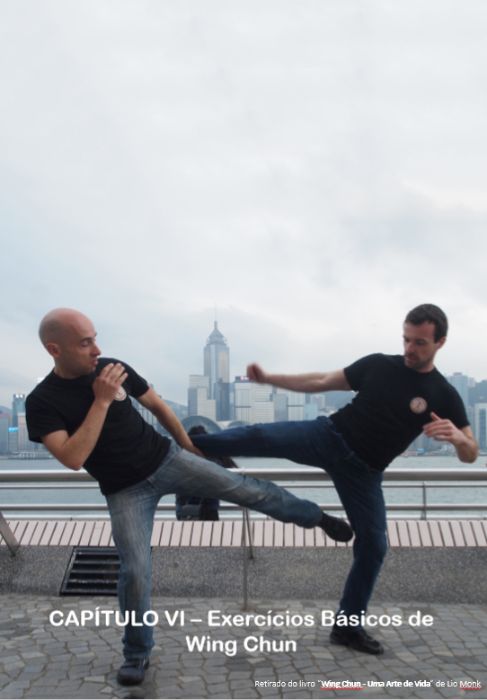 Wing Chun - Uma Arte de Vida