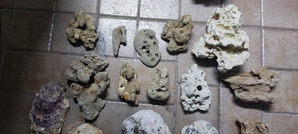 Pedras, conchas, decoração aquário e terrário