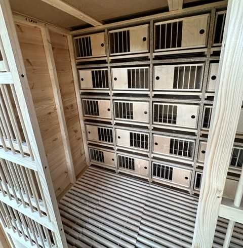 Gołębnik 5m x 2,5m woliera 3m x 1m