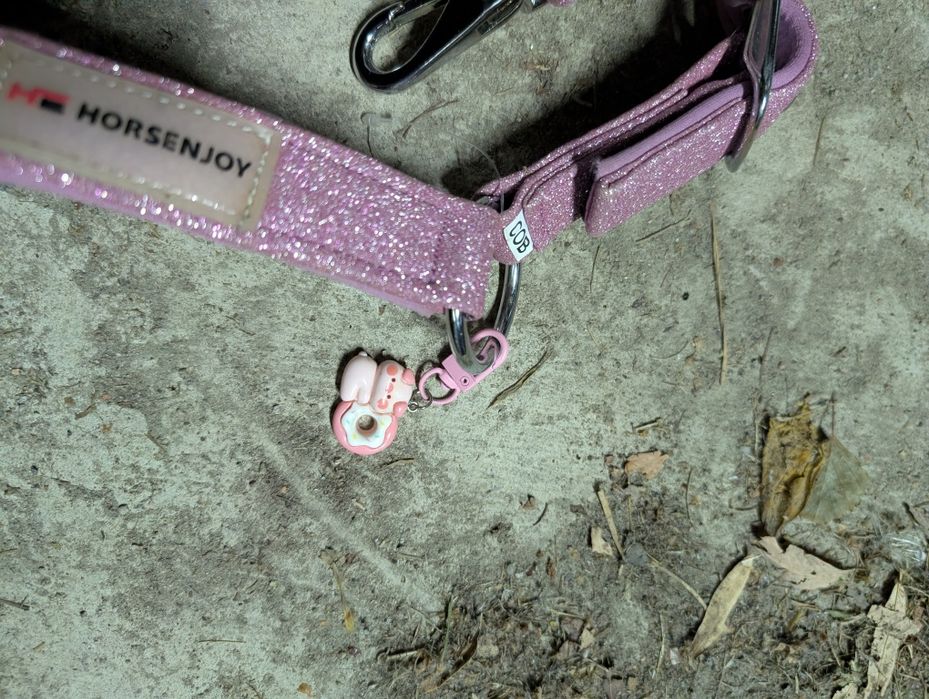 Kantar brokatowy cob