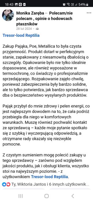 Psalmopoeus victori L3 - ptasznik