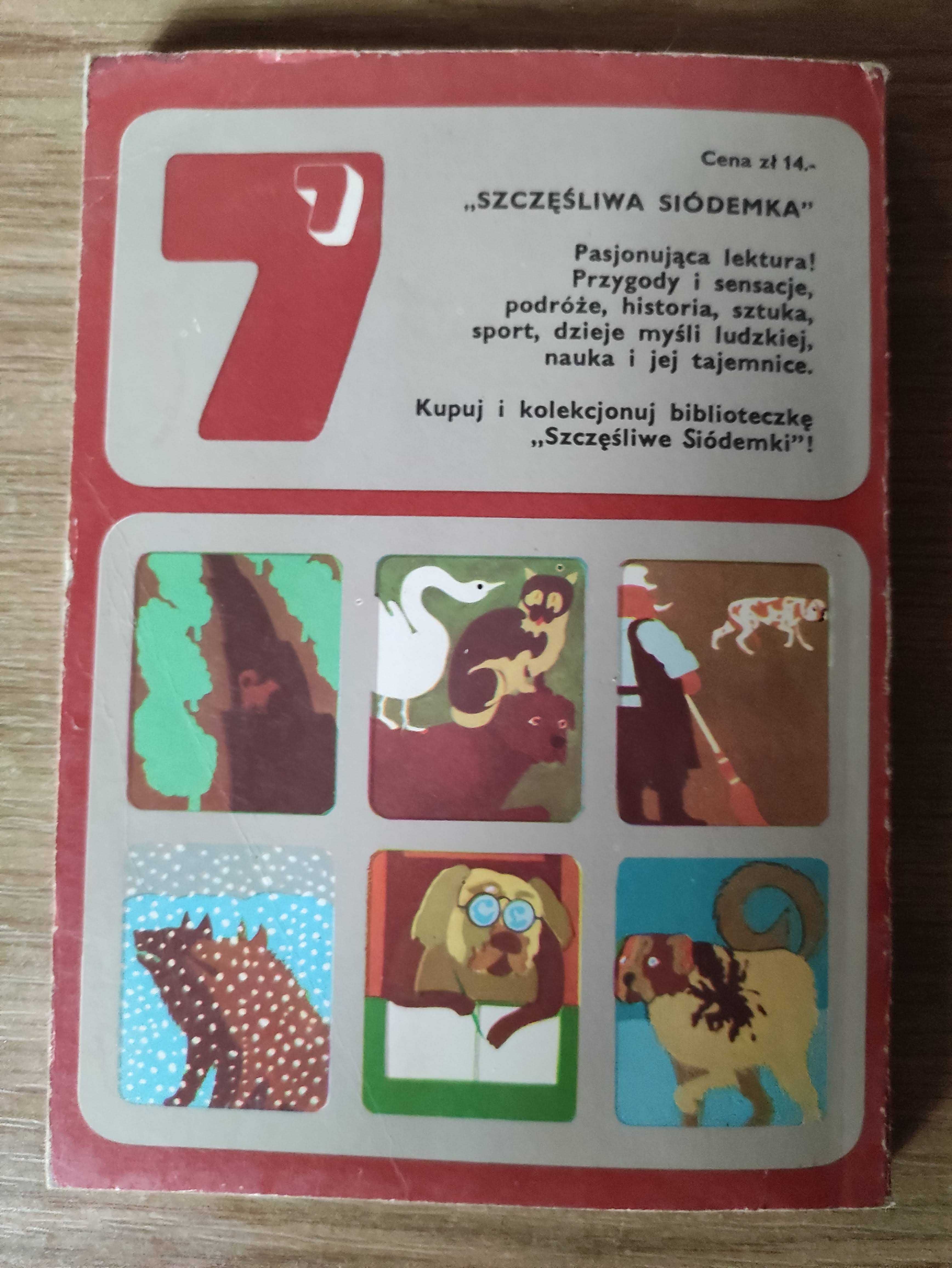 Czy to pies, czy to bies? - praca zbiorowa
