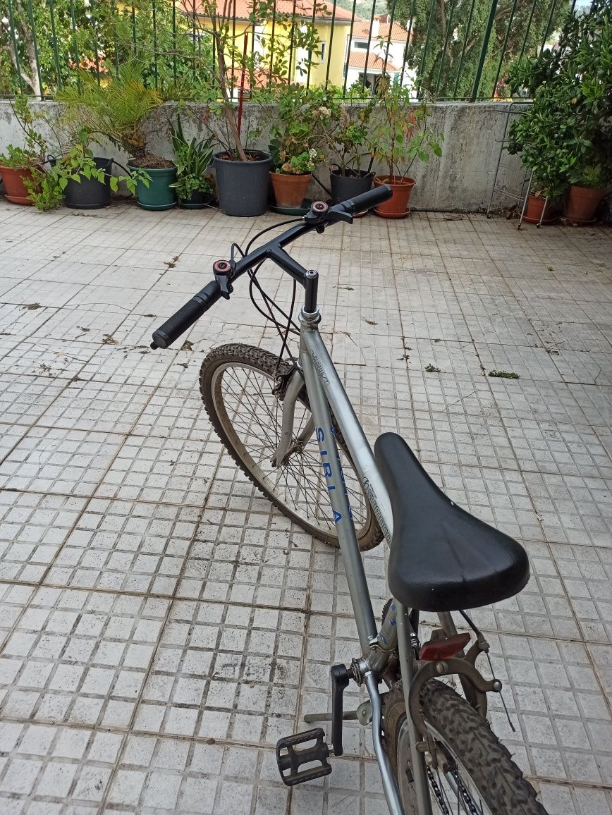 1 Bicicleta da marca sirla