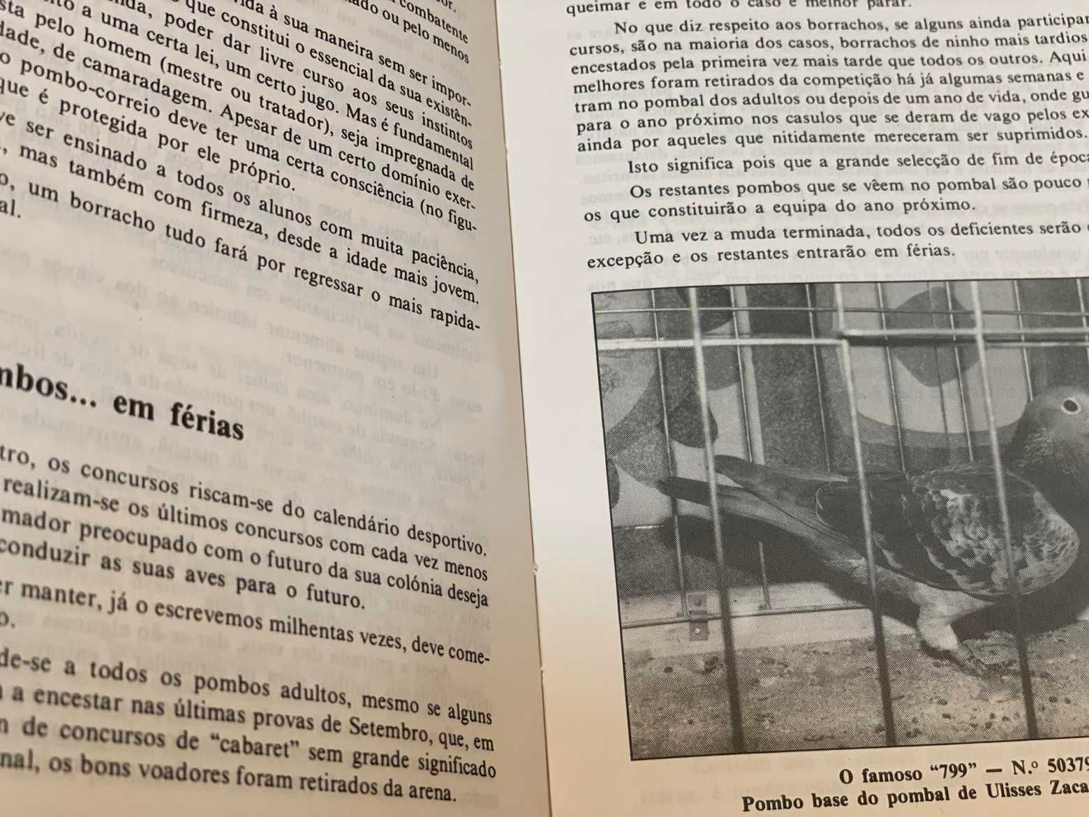 Livro de Columbofília "Num voo de pombos"  RESERVADO
