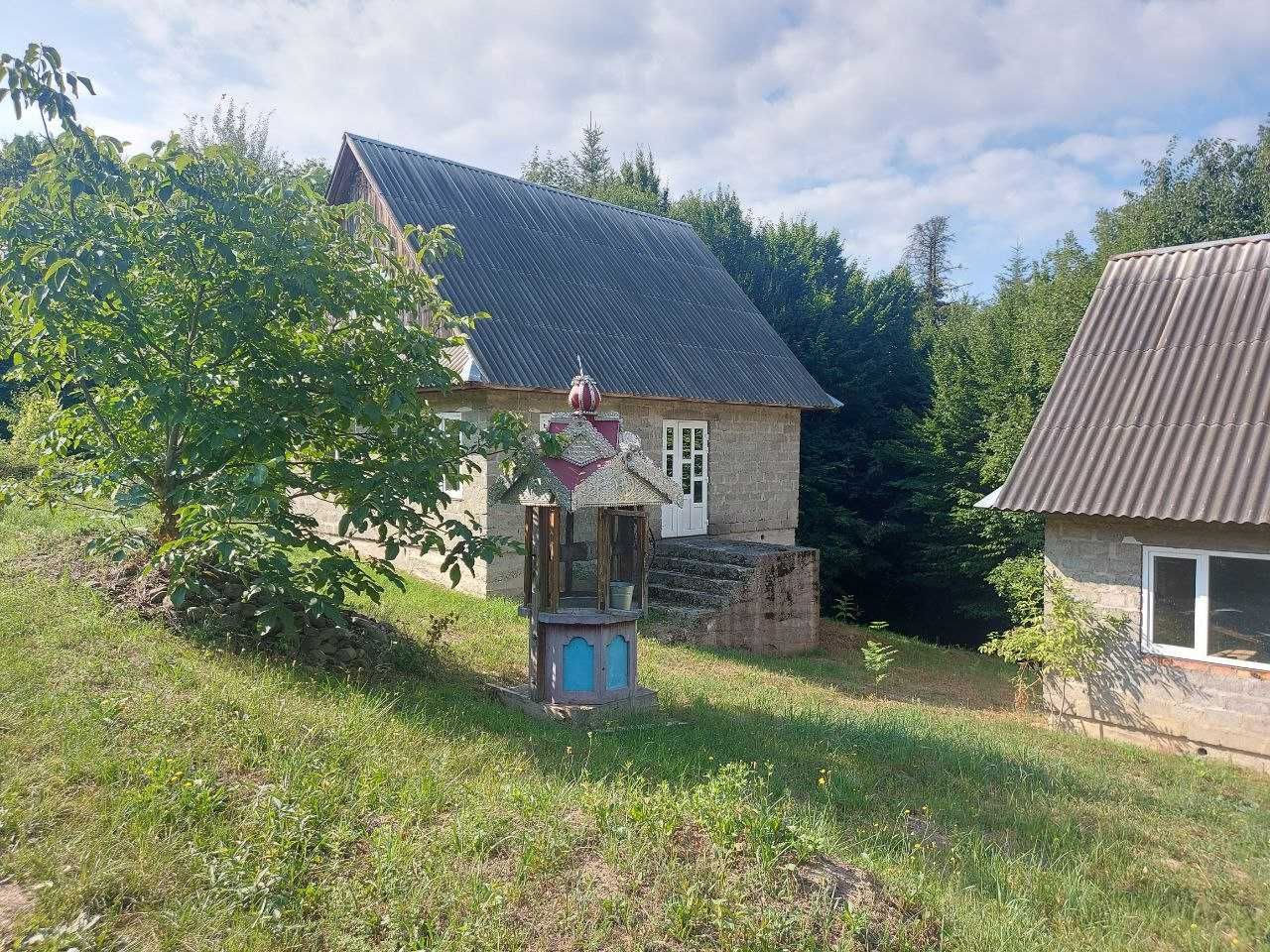 Продається житло в Карпатах поруч з струмком та лісом м.Косів