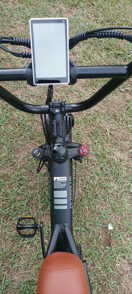 Bicicleta eletrica de 2 passageiros 2 motores (1000x2) GOGOBEST GF750