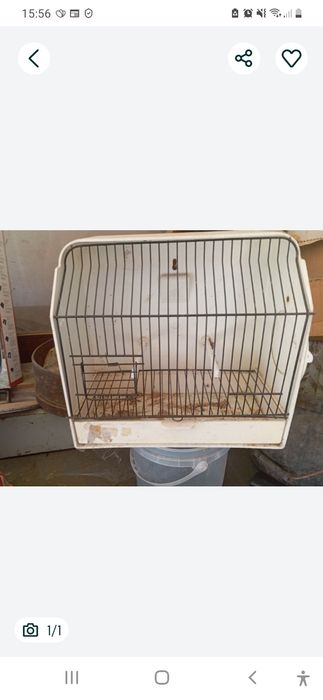 Vendo gailoas de exposição