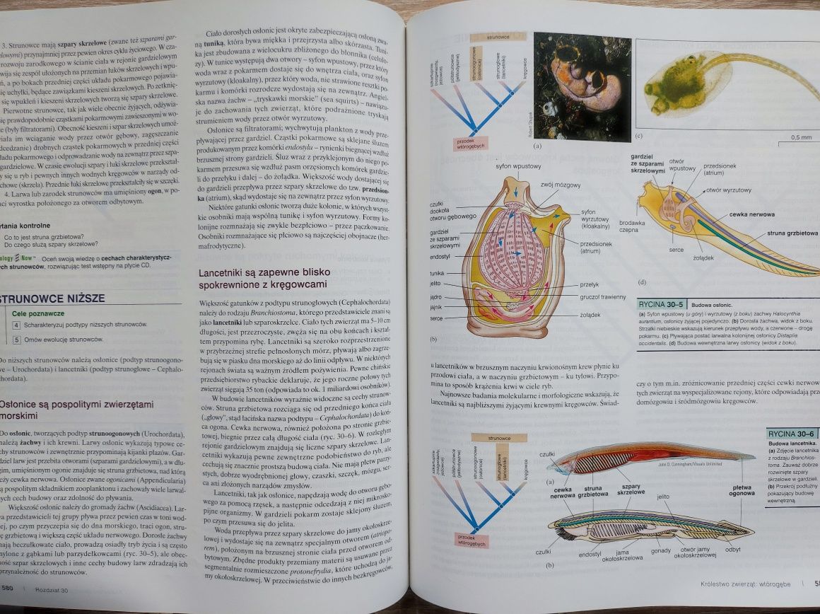 Biologia Salomon Berg Martin z płytą. Kontynuacja Biologii Villeego.