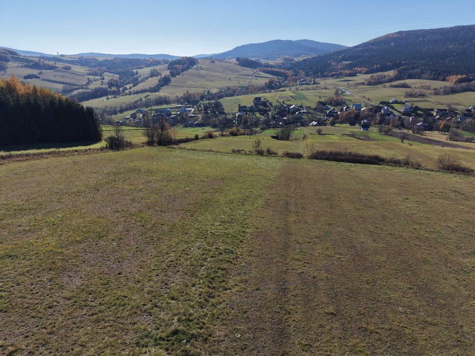 Brzezowa widokowa działka 92 ar