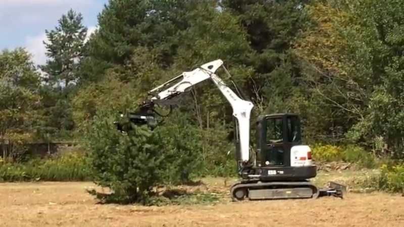 Limpeza terrenos florestais, agrícolas e urbanos Portimão Lagos Silves