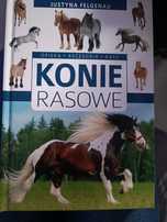 Konie rasowe opieka akcesoria rasy