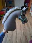 Konik hobby horse
