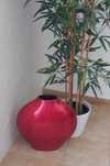 Vaso decorativo  interiores