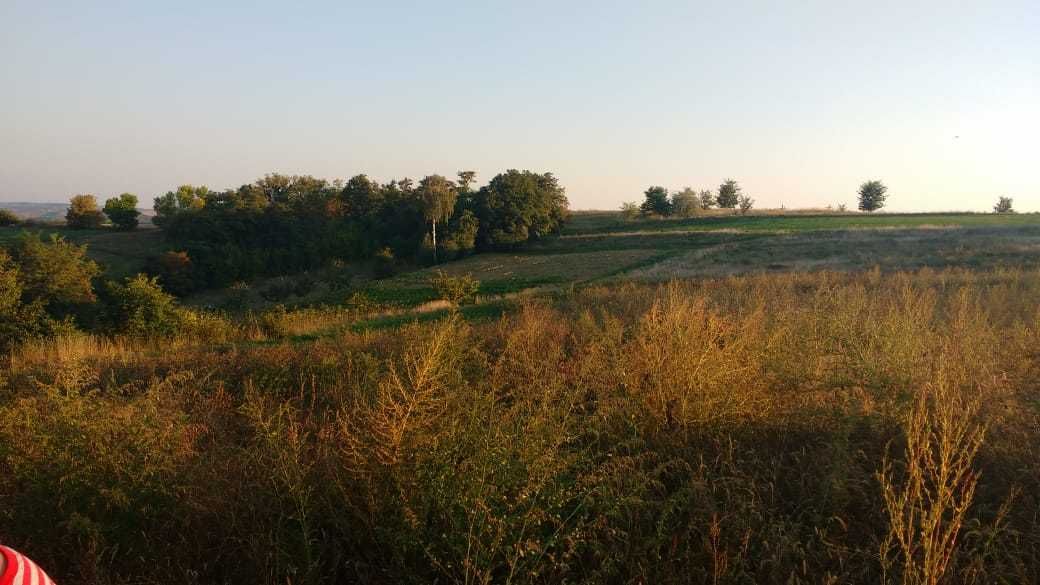 Терміново продам дім село Мельники, Черкаська обл. Канівський р-н.