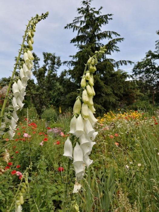 Продам будинок з ексклюзивною земельною ділянкою в центрі міста.