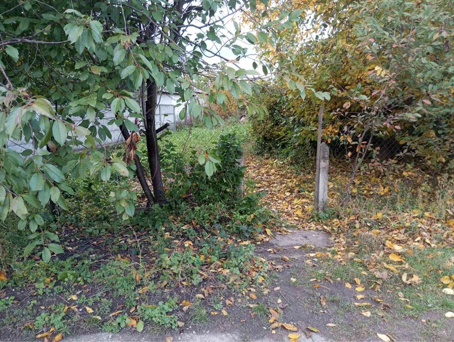 Земельна ділянка