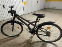 Vendo bicicleta world bike tour