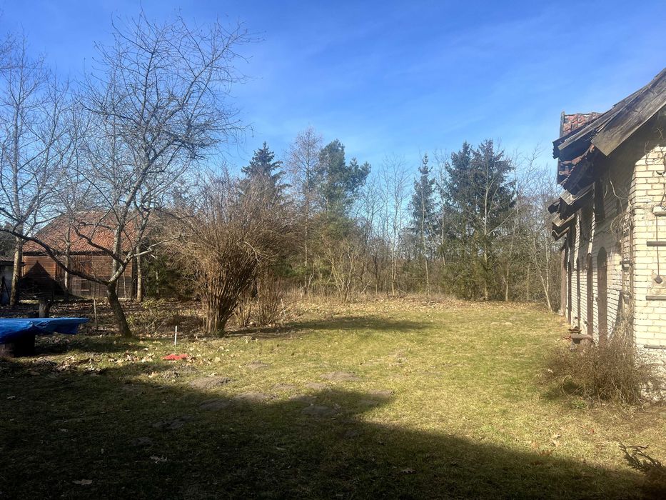 Siedlisko na Mazurach w pobliżu Śniardwy