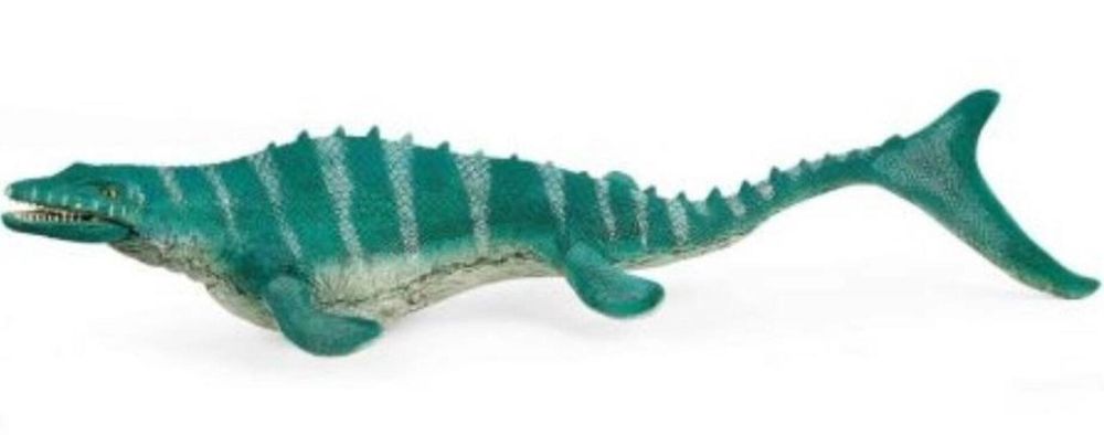 Mosasaurus folia,317x154 mm
