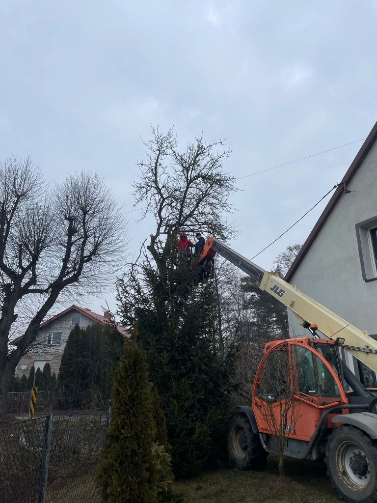 Wynajem ciagnika rolniczego ładowarki  beczkowoz zamiatarka  rebak