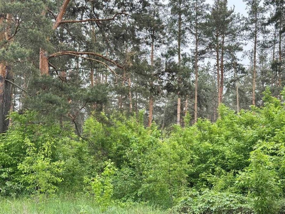 Земельна ділянка під котеджне містечко біля Києва! Власне озеро!