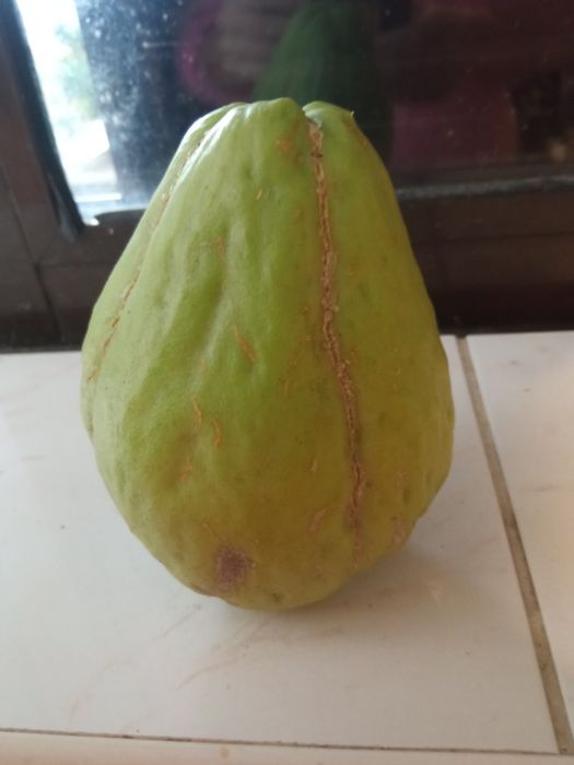 Chuchus Frescos, Saborosos e 100% Naturais!