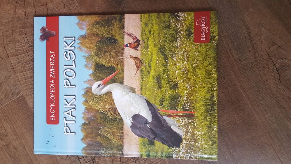 Ptaki Polski - encyklopedia zwierząt