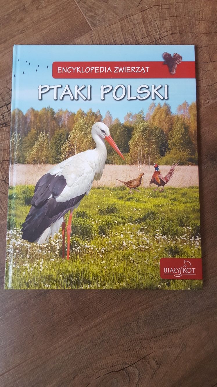 Ptaki Polski - encyklopedia zwierząt
