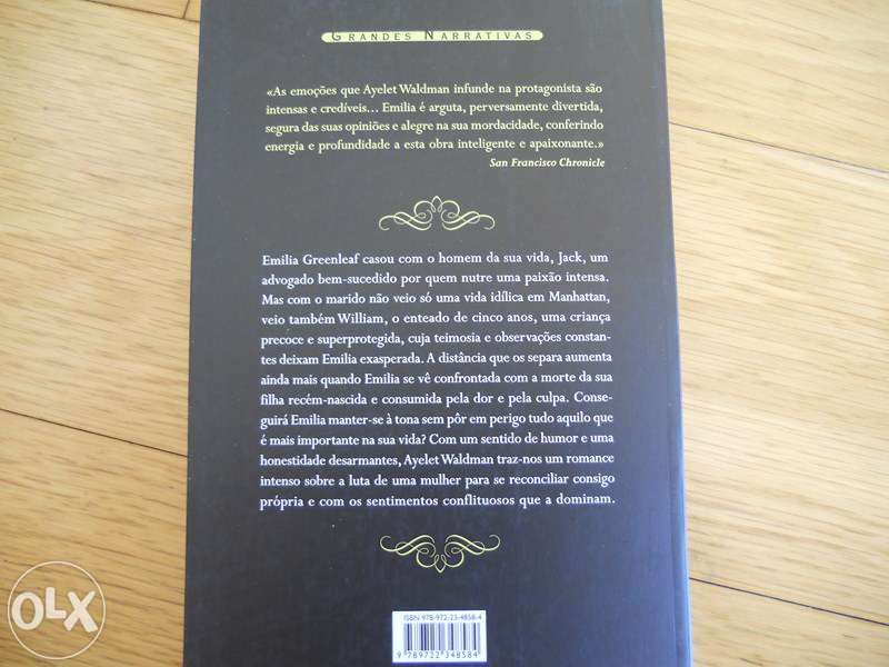 As coisas impossíveis do amor - Ayelet Waldman (novo)