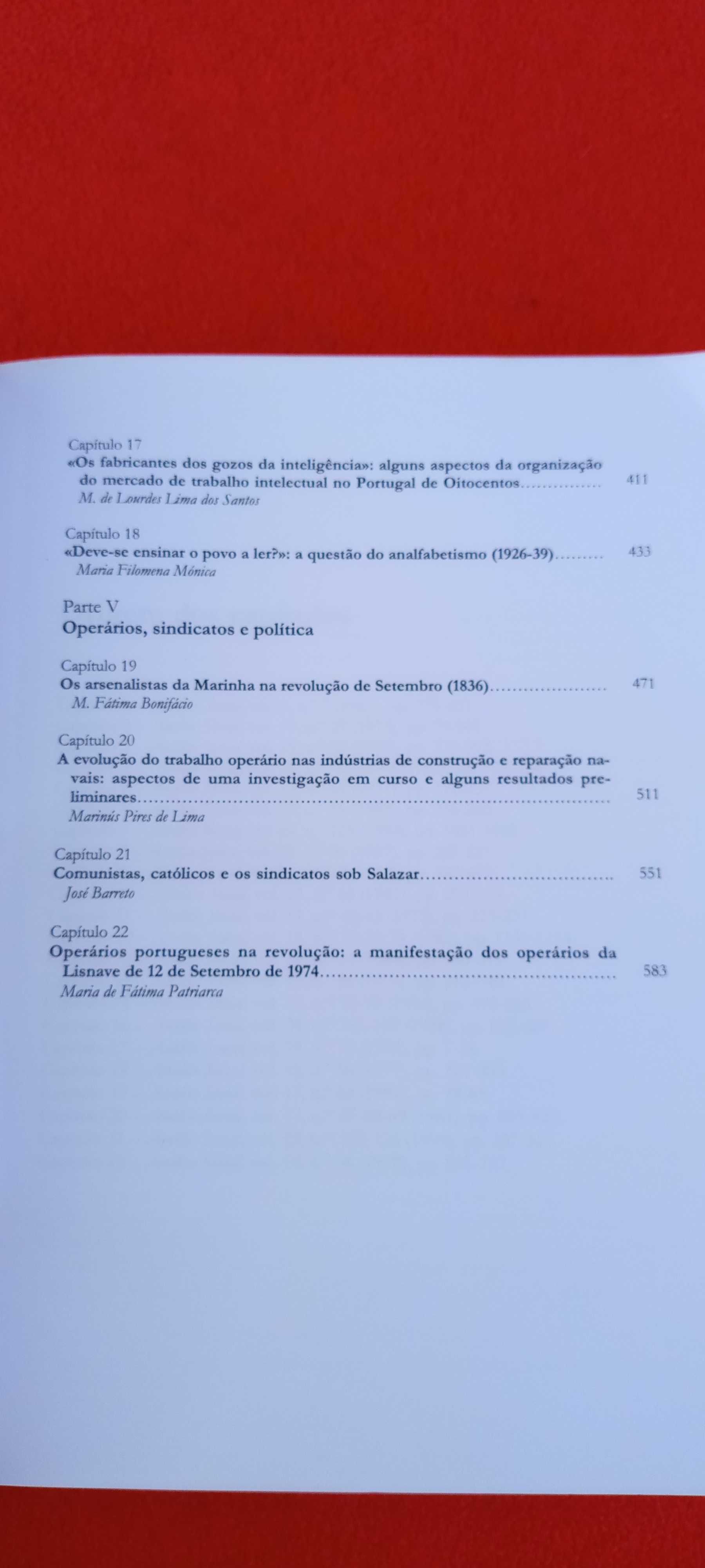 Portugal em Análise Antologia, Nuno Estêvão Ferreira e Pedro Lains