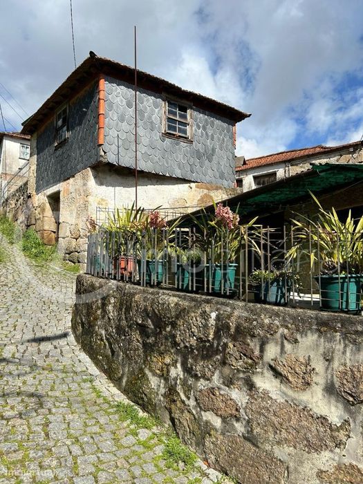 Propriedade 4.500m2, Cinfães