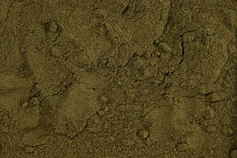 glopex small algen 1000 g dla narybku spirulina