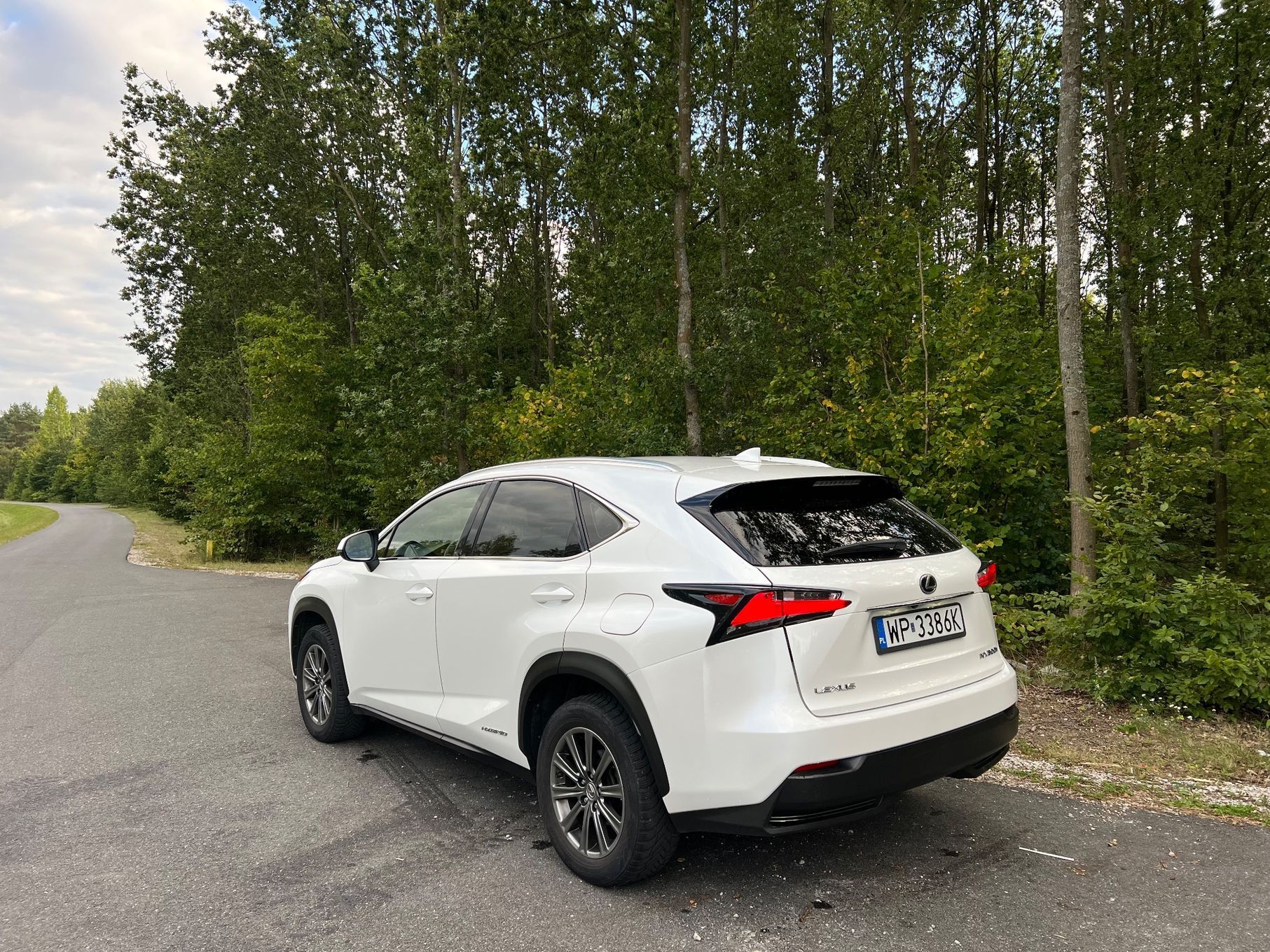 Lexus NX Lexus NX 300h, salon Polska, bez wkładu, prywatnie