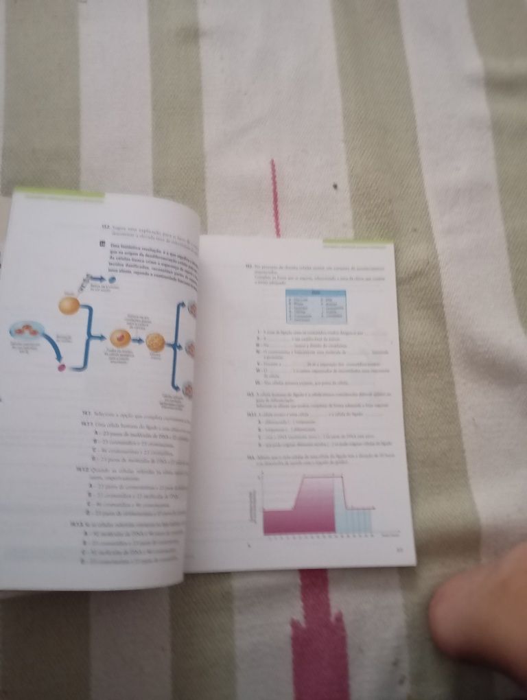 Terra universo de vida - caderno de atividade 11° ano