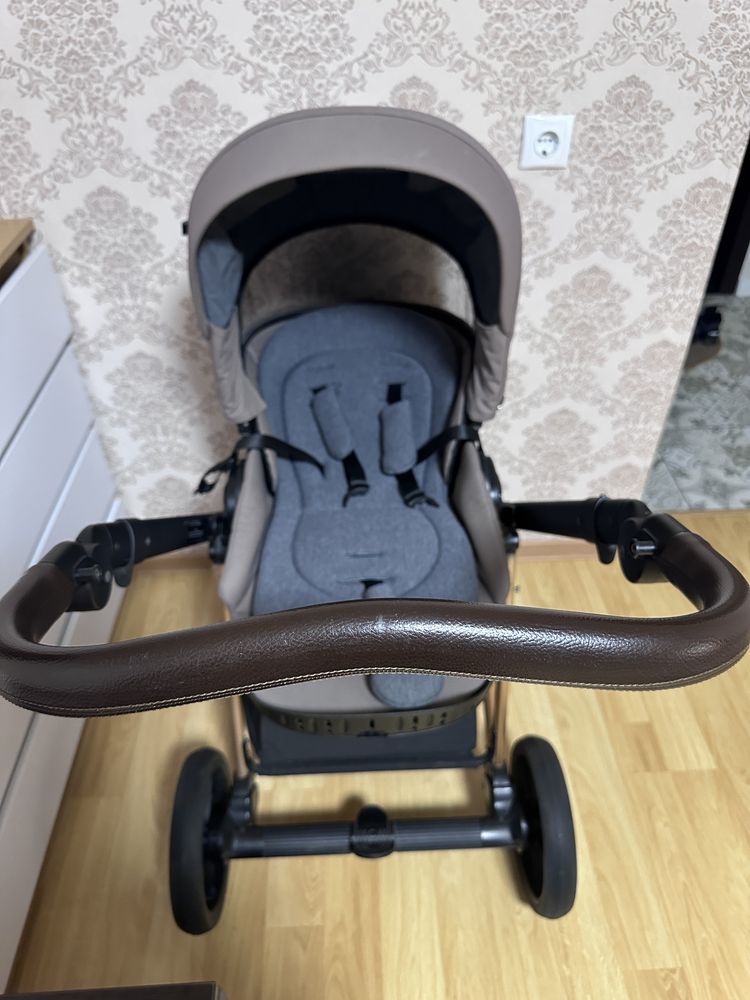 Roan Ivi 2023 Gold Rose