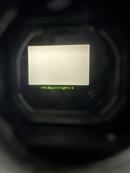 Nikon F100 . Nikon F100