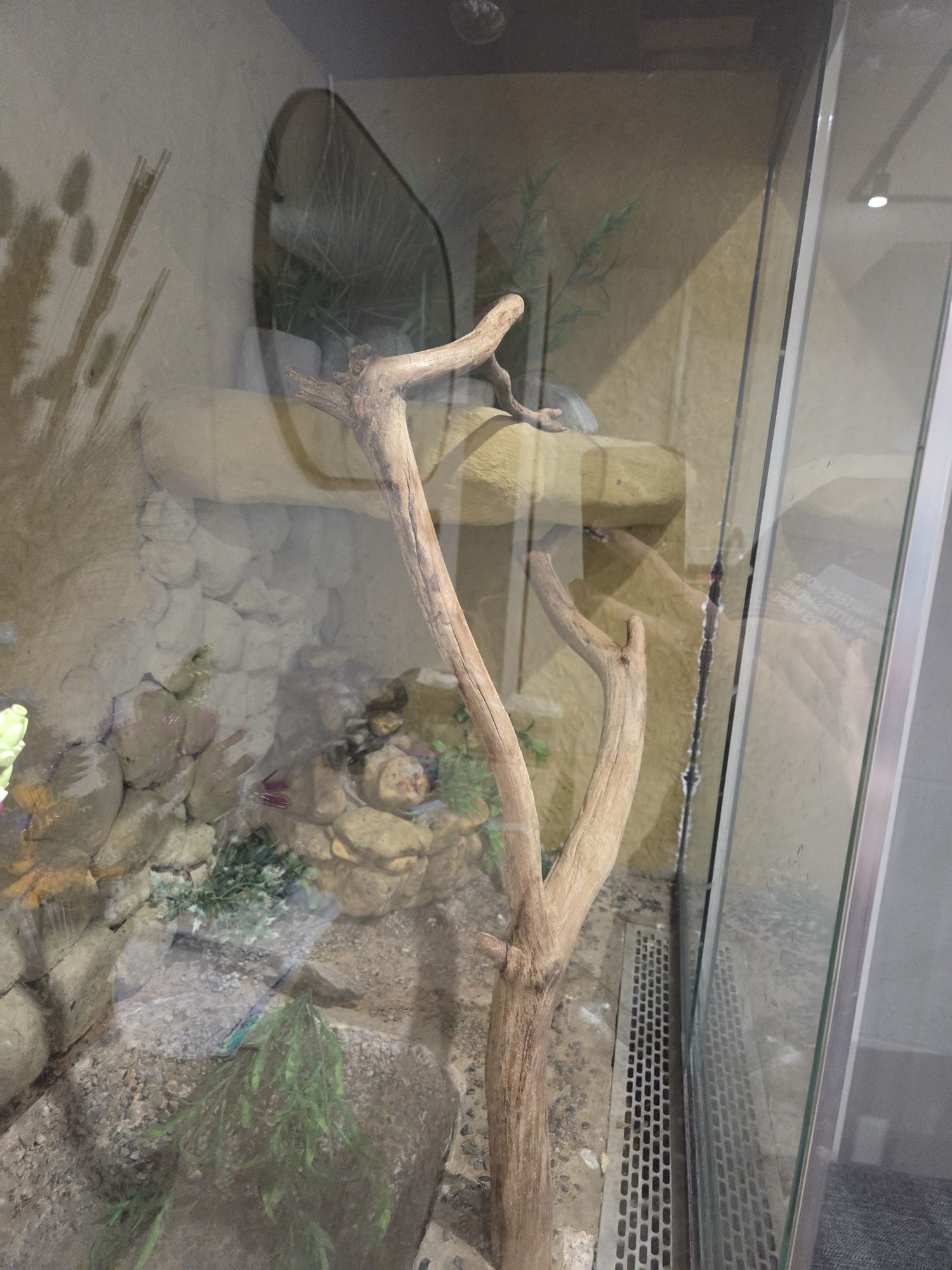 Sprzedam duże terarium z szafką