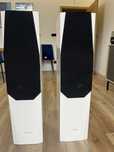 PYLON Audio kolumny Sapphire 31 Stereo Life Edition