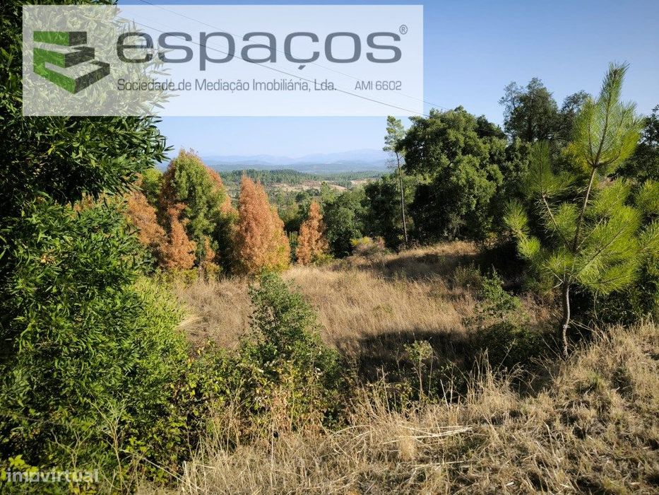 Terreno em Cabeço do Infante